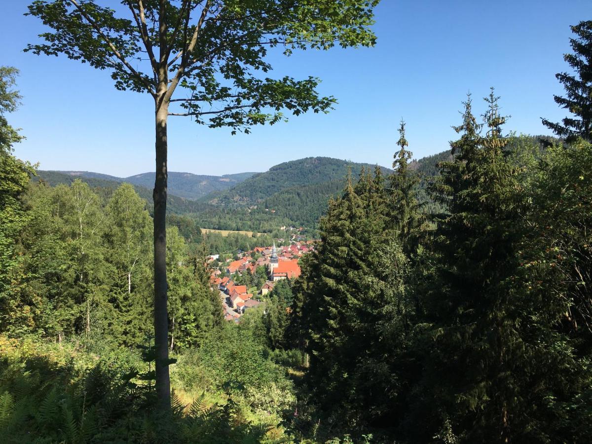 Ferienwohnung Hahnenklee Goslar Exteriér fotografie